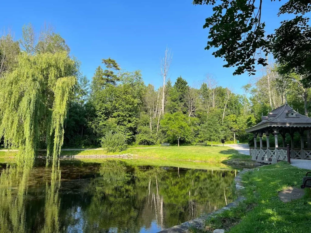 A bright, summer-day view of a pond in Jackson Park. The dark water reflects the clear blue sky and surrounding greenery. A large weeping willow hangs over the water on the left, and a small ornate gazebo is visible on the right bank. Trees and grass cover the park's edge in the background.