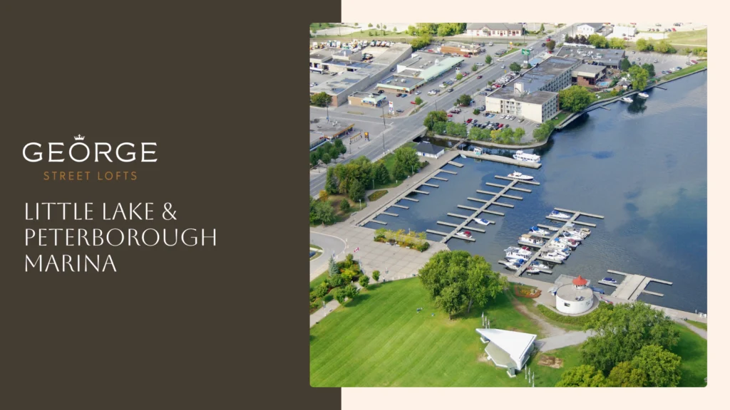 Aerial view of a boat dock and park titled "Little Lake & Peterborough Marina."